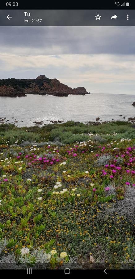 Vacanze In Natura Incontaminata "Casa Vacanza Francesca" Isola Rossa Exterior photo